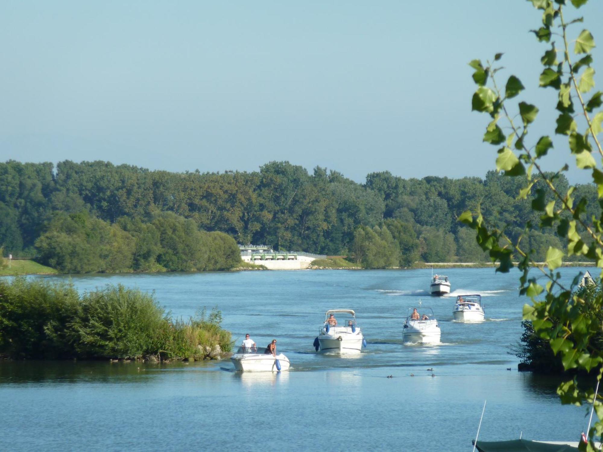 Camping&Pension Au an der Donau Exterior foto